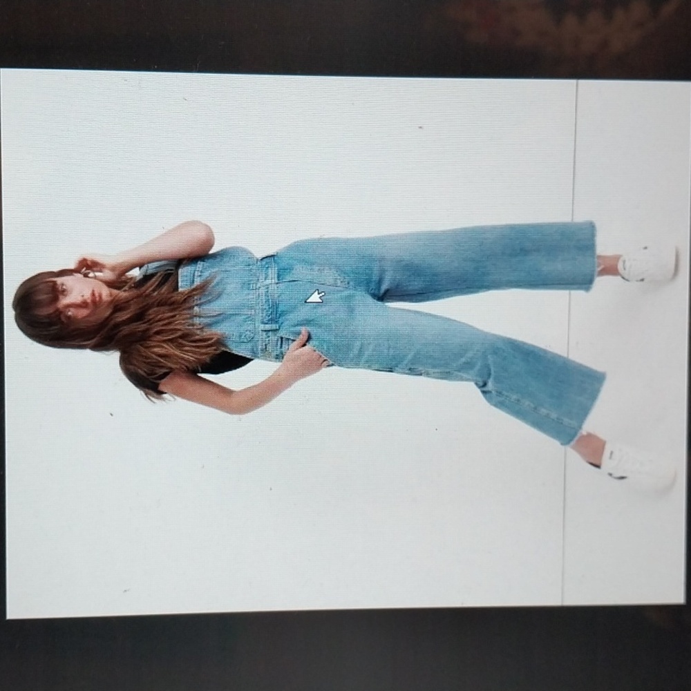LuckyBrand carpenter overall